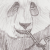 :icontravellingpanda: