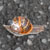 :icontravelslight: