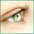 :iconTravesD: