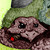 :icontravestyym: