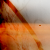 :icontraviance: