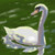 :icontravis1118: