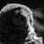 :icontravismchlanphoto: