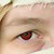 :icontray-kun: