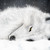 :icontrb46: