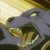 :icontrcookie: