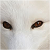 :icontreacherousvixenn: