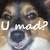 :icontreaderumadplz: