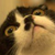 :icontreana-nya: