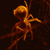 :icontreeclimbersbranch: