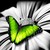 :icontreesap333:
