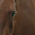 :icontreetracer: