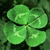 :icontrefle-a-4-feuilles: