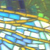 :icontrekkboss: