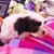 :icontrendsettingmagician: