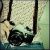 :icontrhfoto: