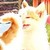 :icontri-katt: