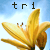 :icontri2one: