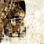 :icontrianglespwn: