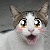 :icontriawolf: