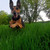 :icontrickdog-paws: