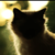 :icontrickhat: