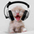 :icontrickone: