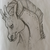 :icontricksparrow: