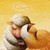 :icontrickymongoose:
