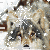 :icontrifectguitarist: