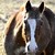 Trigger-Photography :icontrigger-photography: