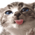 :icontrigger-stormfire: