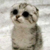 :icontrilogi-v3: