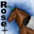 :icontrinitierose: