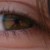 :icontrinitips:
