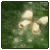 :icontrinitylast: