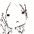 :icontrinketchi: