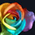:icontrinniegonenuts: