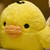 :icontripleshotexpert: