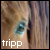 :icontrippedxkisses: