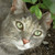 :icontrippyskitty: