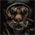 :icontriptricks: