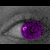 :icontripzy: