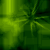 :icontriquetra607: