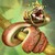 :icontrishrenard: