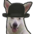 :icontrisloth: