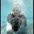 :icontrismegistos777: