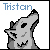 :icontristanbre: