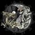 :icontriumph-or-die: