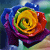 :icontrixie3: